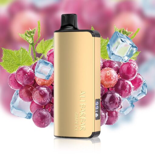 ALIBARBAR INGOT 9000 PUFF – GRAPE ICE